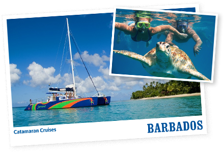 Catamaran Sailing Cruises