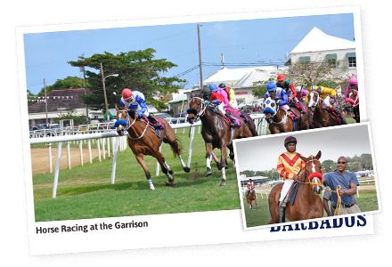 Horse Racing – The Barbados Turf Club